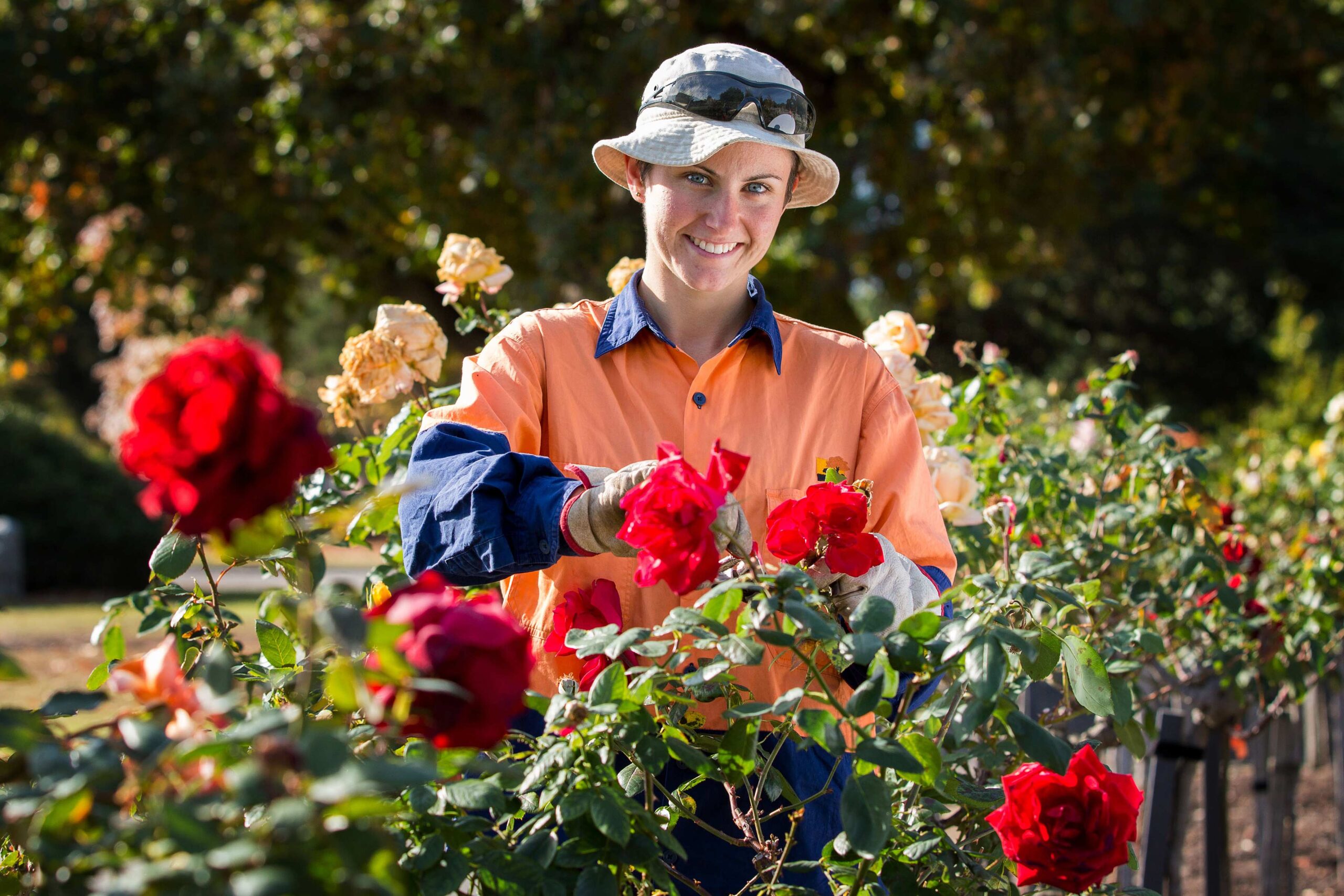 horticulturist working at GMCT Greater Melbourne Cemetery Trust at the grounds at Fawkner