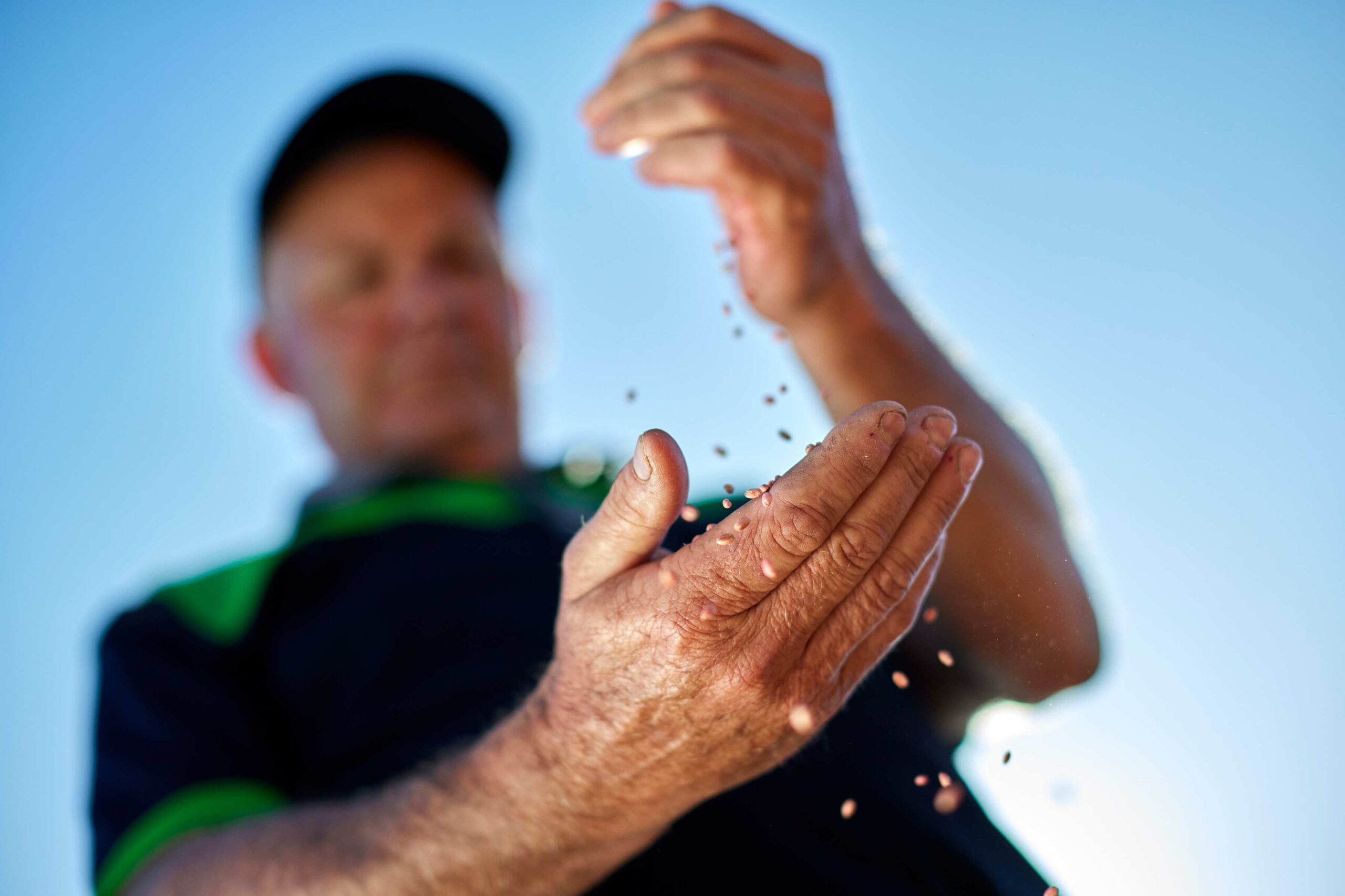 A farming man drops seeds through his hands on a farm in New South Wales
