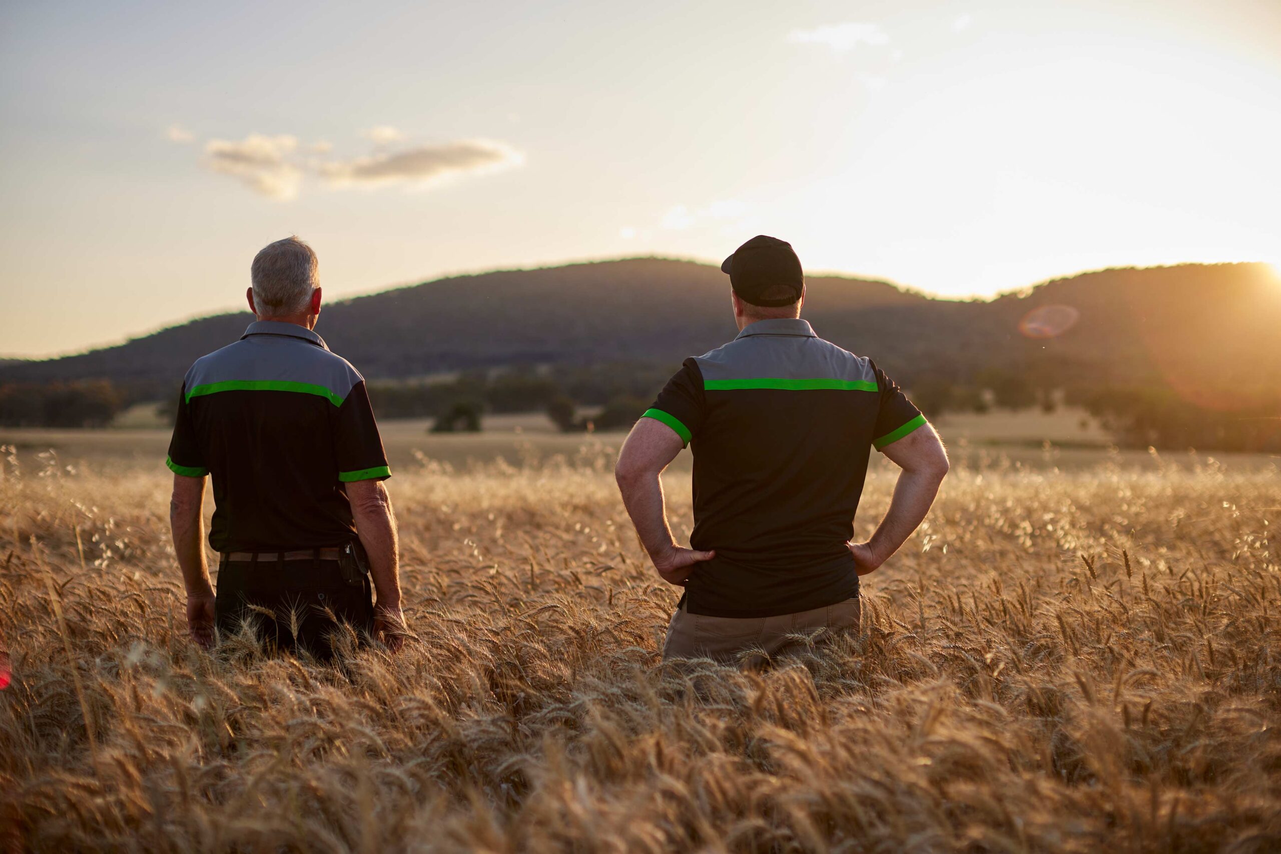 grain farmers look out over a beautiful valley with the sunset in central New South Wales