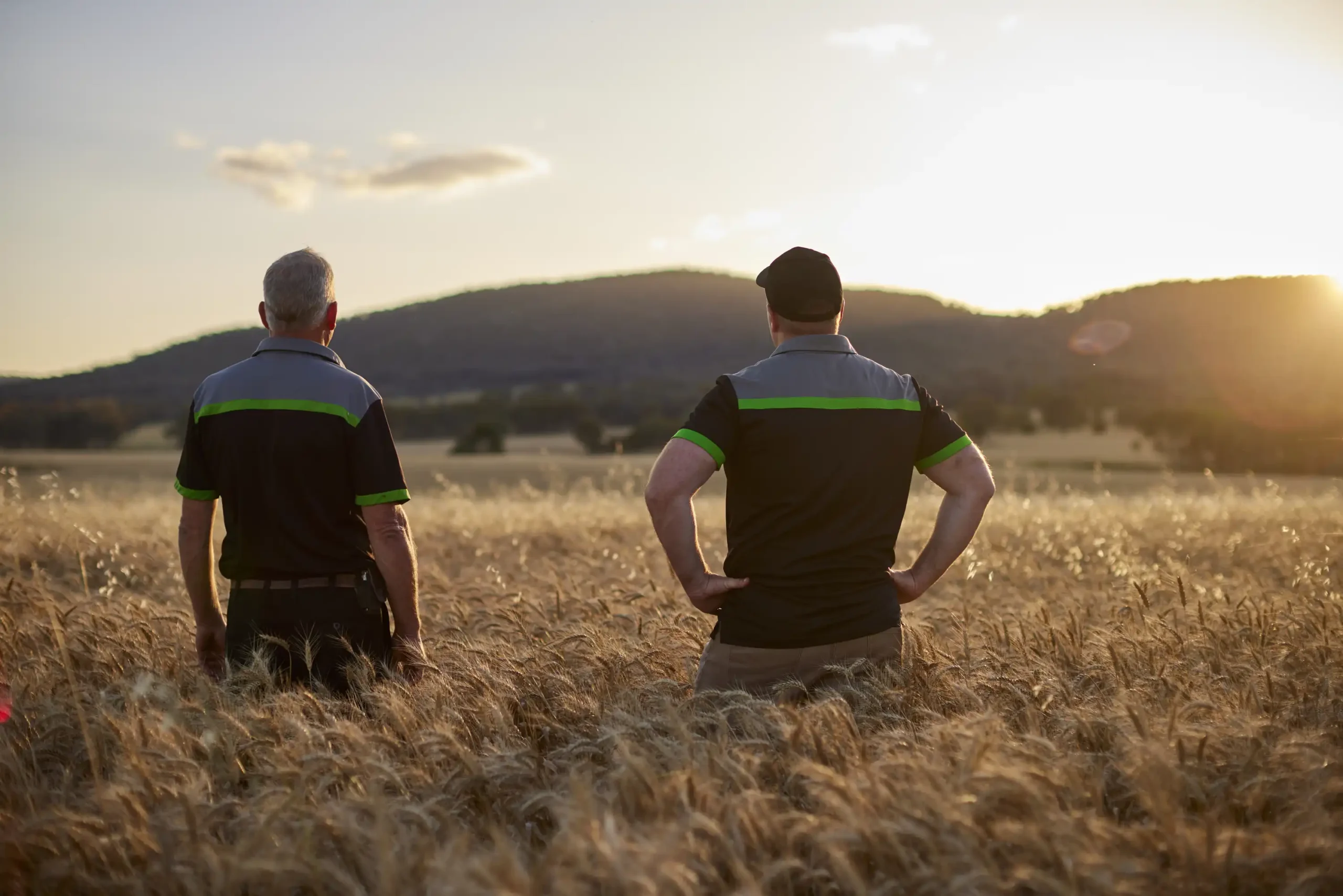 commercial photo farming