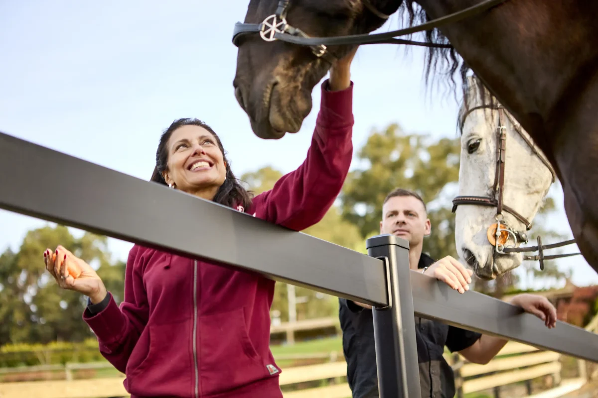 horse trainer advert