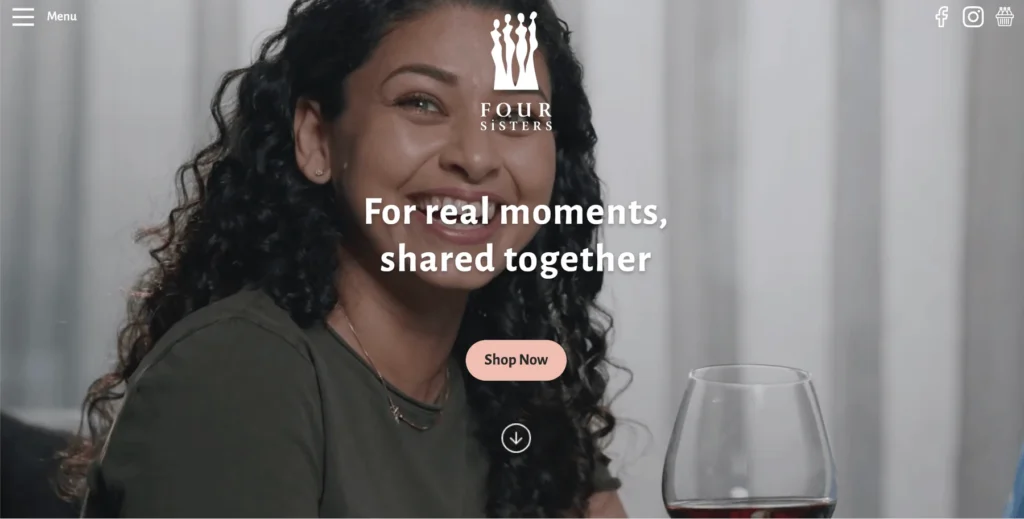A wide website banner layout displaying a close-up crop of four women smiling together, designed for the 4 Sisters homepage.